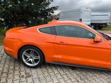 Ford Mustang 5.0  - Ford Mustang Gebrauchtwagen in Frankfurt
