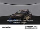 Skoda Karoq Style 2.0TDI 4x4 DSG / SmartLink, LED, AHK - Skoda Karoq