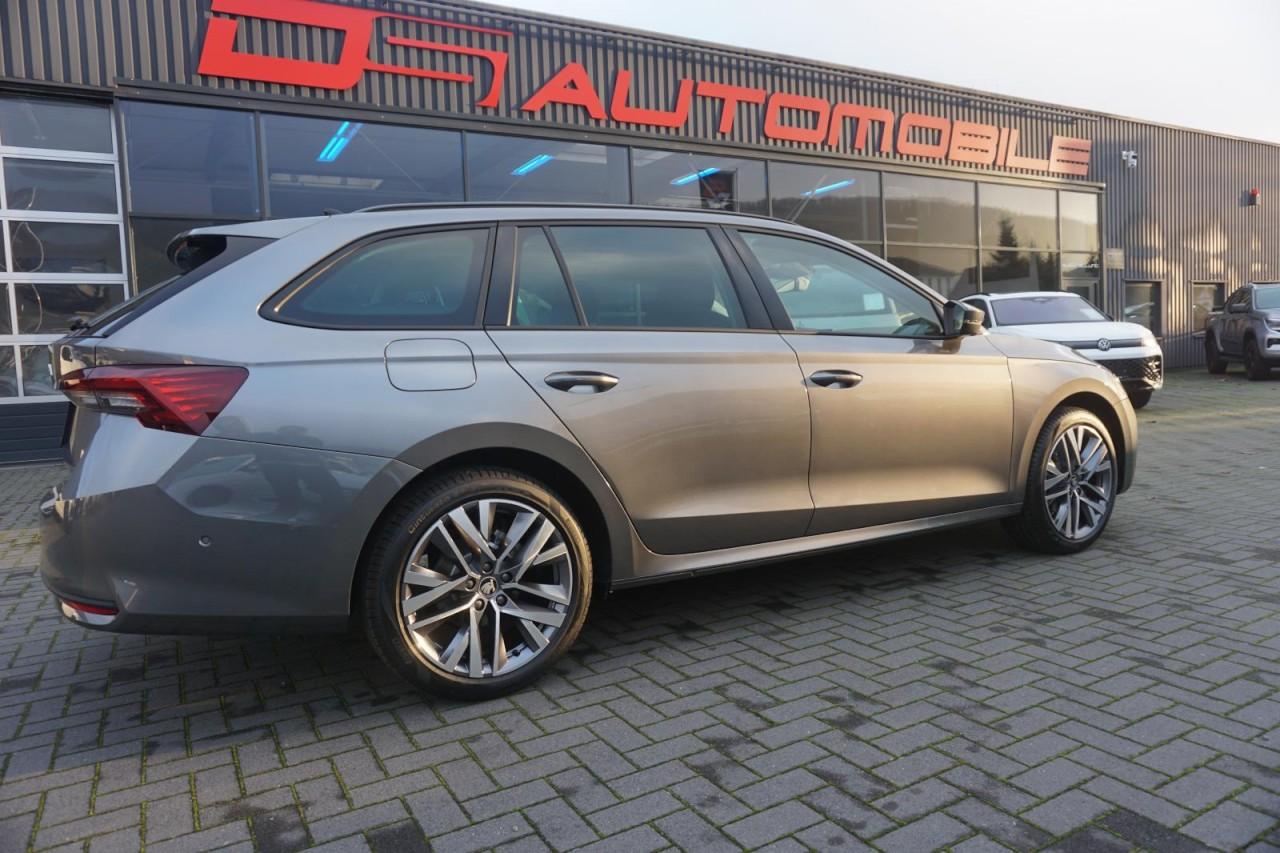 Skoda Octavia 2.0 TDI DPF Pano/Standheizung/18Zoll