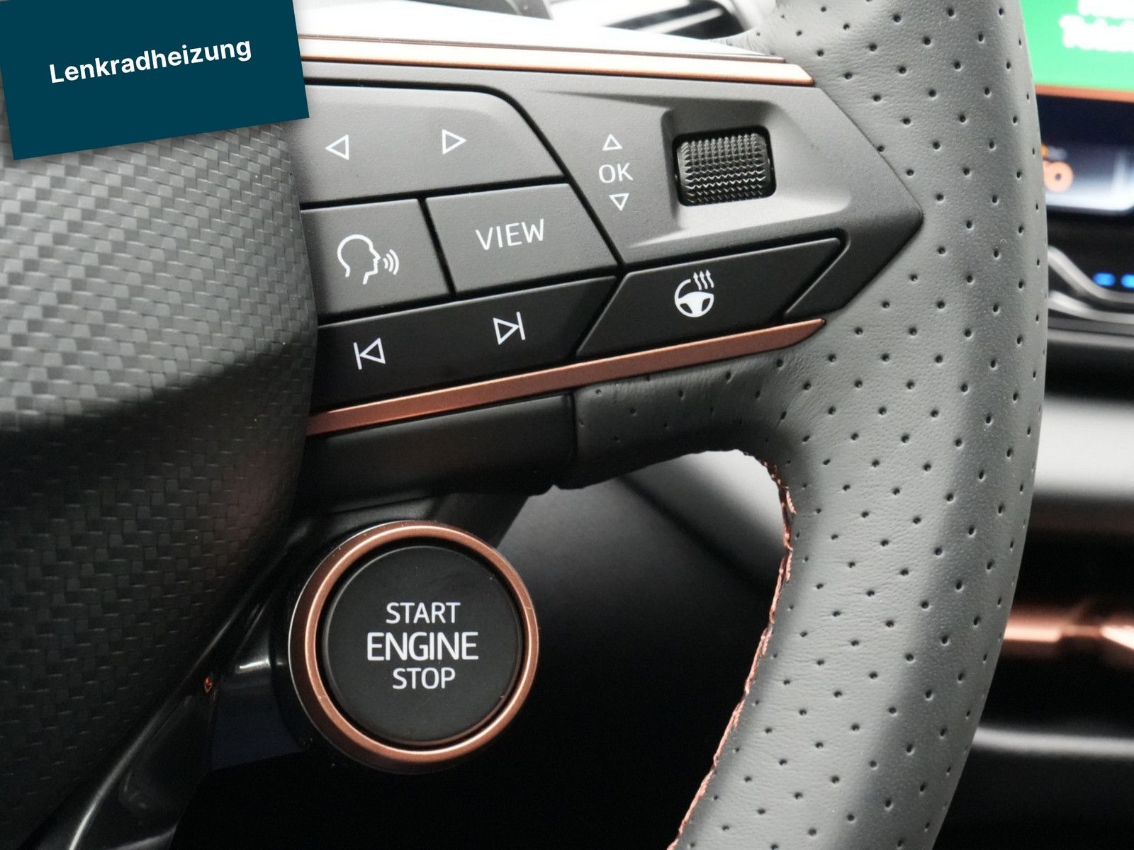 Cupra Terramar - Bild 11