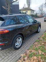 Porsche Cayenne Diesel Platinum Edition Platinum Edition - Porsche Cayenne in Ludwigshafen