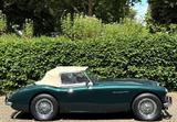 Austin Healey Healey 100-Six BN4 6-Zylinder 4-Sitzer FIA Pass - Austin Healey: Bn4
