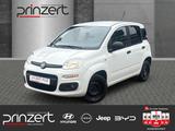 Fiat Panda 1.2 "MORE" *Klima*PDC*8-Fach - Fiat Panda: 1.1