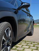 Lexus UX 250h Style Edition Style Edition - Lexus UX Gebrauchtwagen