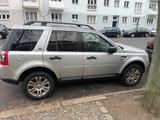Land Rover Freelander TD4 Panorama Dach Vollleder  - Land Rover Freelander Gebrauchtwagen
