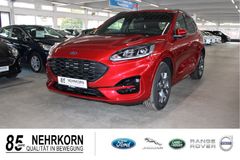 Fahrzeugabbildung Ford Kuga 2.0 EcoBlue ST-Line Automatik ALLRAD