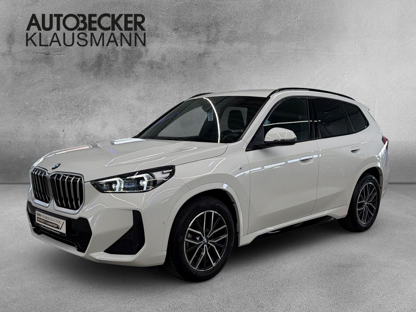 BMW X1 xDrive20d Automatik M Sport 18'' Navi AHK KAM foto 1