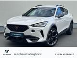 Cupra Formentor 4Drive 2.0 TSI DSG VZ ACC LED e.AHK Na - Cupra Formentor Gebrauchtwagen in Dortmund
