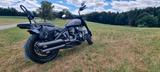 Indian Chief Dark Horse Bobber