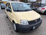 Fiat Panda 1.2 8V Active - Fiat Panda: Gelb