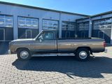 Dodge RAM, D-250 Pickup, Erstlack!, TOP-Patina-Zustand - Dodge Oldtimer