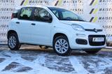 Fiat Panda Easy|Klima|USB|Radio|Isofix|Komfort-Paket - Fiat Panda mit CNG-Antrieb