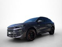 Cupra Terramar - Vorschau Bild 2