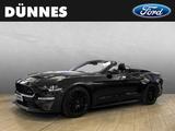 Ford Mustang GT/CS Convertible 5.0 V8 Aut. GT *Tiefer - Ford Mustang: Cs