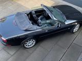Jaguar XKR 100 Sondermodell - Jaguar: 10