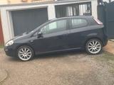 Fiat Punto - Fiat Punto Gebrauchtwagen in Mannheim