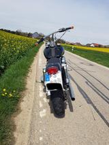 Harley-Davidson FXS Shovelhead Low Rider - HARLEY-DAVIDSON SHOVELHEAD