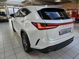 Lexus NX 450h+ E-FOUR Business AHK Leder elektrische S - Lexus NX Business
