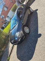 Fiat Punto Evo - Fiat Punto Evo mit Schiebedach