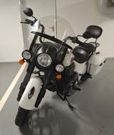 Indian Springfield Dark Horse - INDIAN SPRINGFIELD