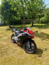 Aprilia RS4 125 - APRILIA RS 125