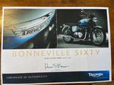 Triumph Bonneville Sixty T 100 - TRIUMPH T 100