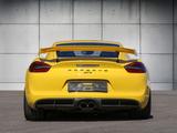 Porsche 981 Cayman GT4 - Porsche Cayman aus 2015