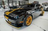 Dodge Challenger 6,4 HEllCAT 21 FACE LIFT WIDEBODY FUL