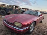 Jaguar XJS 12 Cyl. Convertible. Calif. original cond. - Jaguar Oldtimer: Cabrio