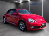 Volkswagen Beetle Cabrio 1.2 TSI Design El. Verdeck SHZ PDC - Volkswagen Beetle: Rot