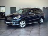Mercedes-Benz ML 350 4Matic *AMG*Memory*Kamera*Totwinkel*Spur* - Mercedes-Benz ML-Class: Geländewagen