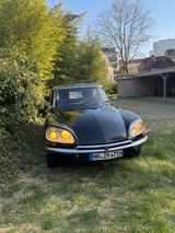 Citroën DS - Citroën DS in Hamburg