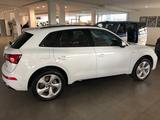 Audi Q5 S line 2,0 TDI S-tr Quattro MATRIX LED NAVI R - Audi Q5 mit Diesel-Antrieb: Geländewagen