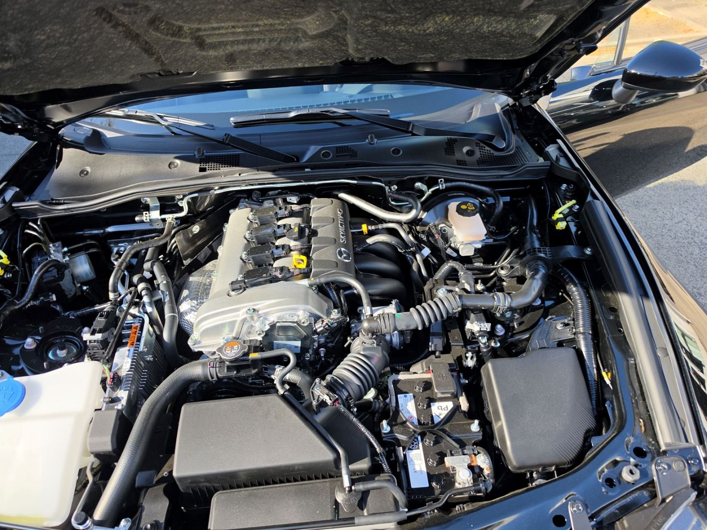 Mazda MX-5 - Bild 14