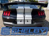 Ford 2026 Shelby GT 350 Official EU Model - Ford Mustang: Shelby Gt350