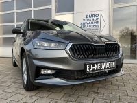 SKODA Fabia 1.0 TSI DSG SHZ PDC KAM LED 15