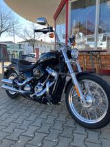 Harley-Davidson Softail Standard - Offers