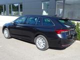 Skoda Octavia Combi  1.5 TSI Selection 17Z BFS Sun Kam - Skoda Octavia Neuwagen in München