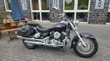 Yamaha XVS 650  Dragstar   viel Zubehör  guter Zustand - YAMAHA DRAGSTAR 650
