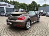Volkswagen Beetle Cabriolet 70´s Design*NAVI*SHZ*PDC*LEDER* - : Braun, Scheckheftgepflegt
