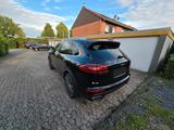Porsche Cayenne Diesel -Sehr gepflegt - Porsche Cayenne in Mönchengladbach