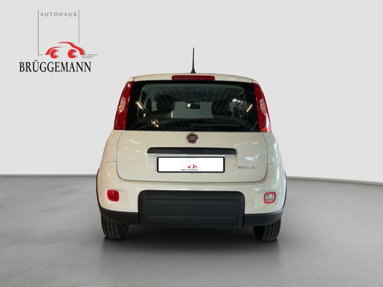 Fahrzeugabbildung Fiat Panda 1.0 GSE Hybrid + Techpaket