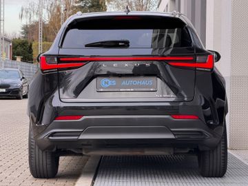 Lexus NX 350h - 7