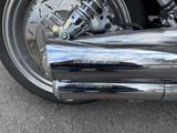 Harley-Davidson V-Rod - Angebote