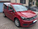 Volkswagen VW Caddy 1.4 TSI 125 PS Trendline 5-Sitzer - VW Caddy in Duisburg