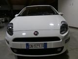 Fiat FIAT Punto 1.2 8V 5 porte Lounge - gebrauchte Fiat Punto aus dem Jahr 2018