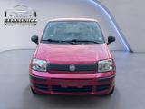 Fiat Panda 1.2 8V MyLive*KLIMA*STH*
