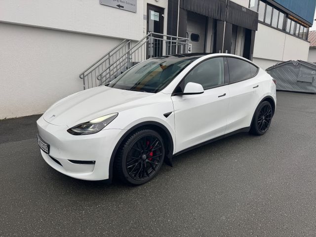 Tesla Model Y Performance Dual AWD 8fach Matrix LED