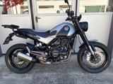 Benelli Leoncino 500 - BENELLI LEONCINO 500