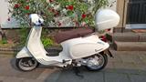 Vespa Primavera 50 - VESPA KÖLN
